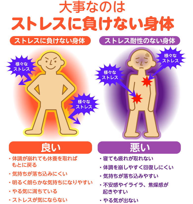 大事なのはストレスに負けないからだづくり