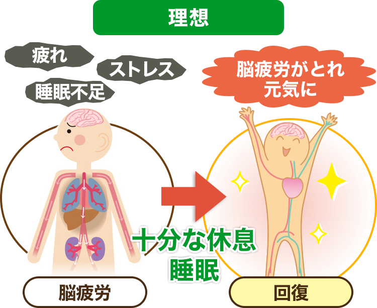 理想 間接的な原因